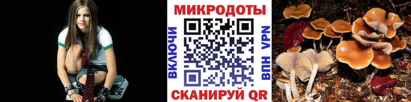 дарнет шоп  Тутаев  Галлюциногенные грибы MAGIC MUSHROOMS 